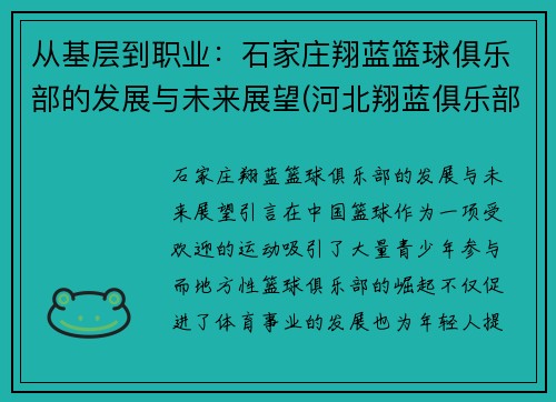 从基层到职业：石家庄翔蓝篮球俱乐部的发展与未来展望(河北翔蓝俱乐部)