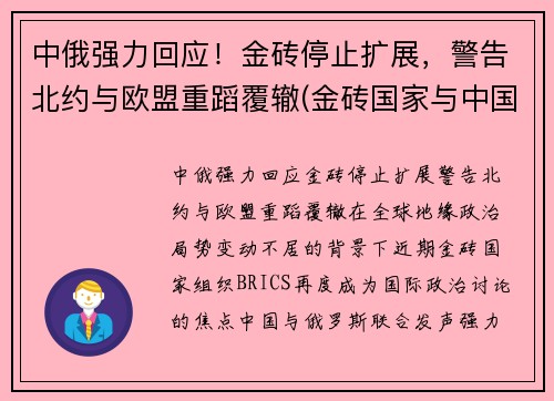 中俄强力回应！金砖停止扩展，警告北约与欧盟重蹈覆辙(金砖国家与中国接壤)