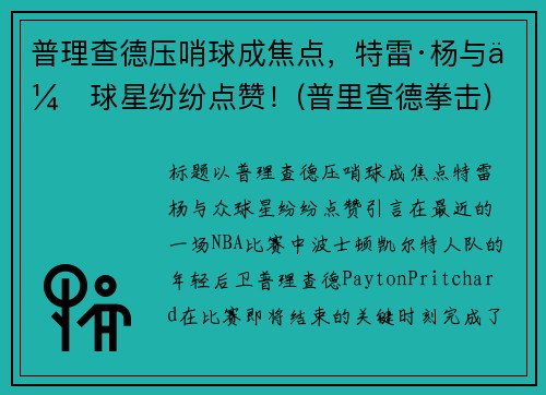 普理查德压哨球成焦点，特雷·杨与众球星纷纷点赞！(普里查德拳击)