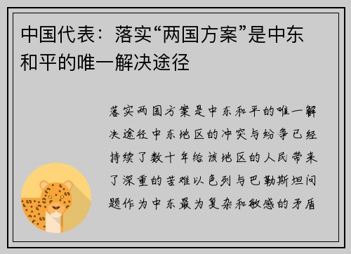 中国代表：落实“两国方案”是中东和平的唯一解决途径